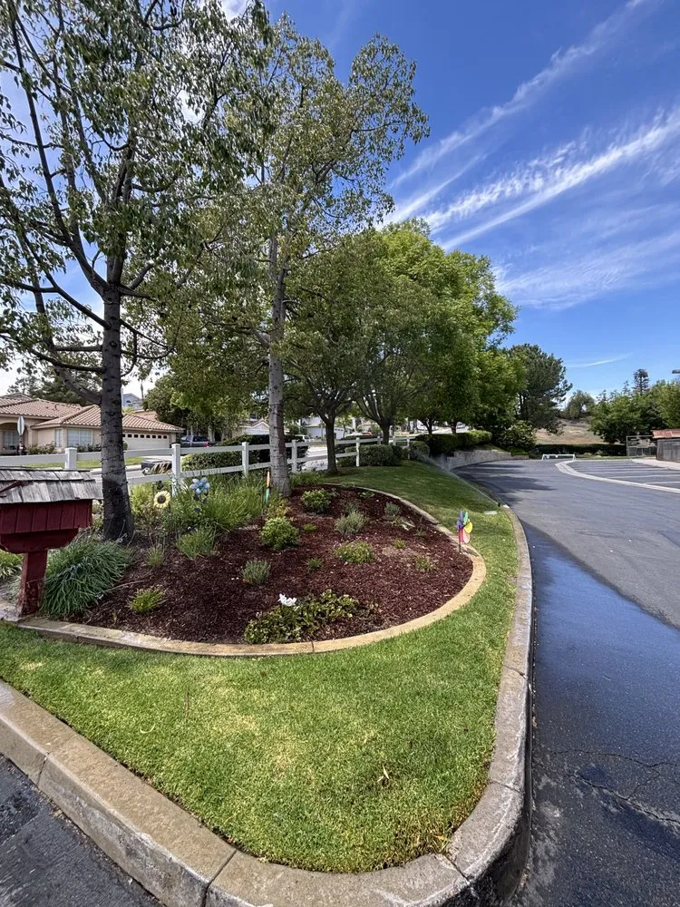 Trusted residential landscaping experts serving San Jacinto, CA - Providence Landscaping