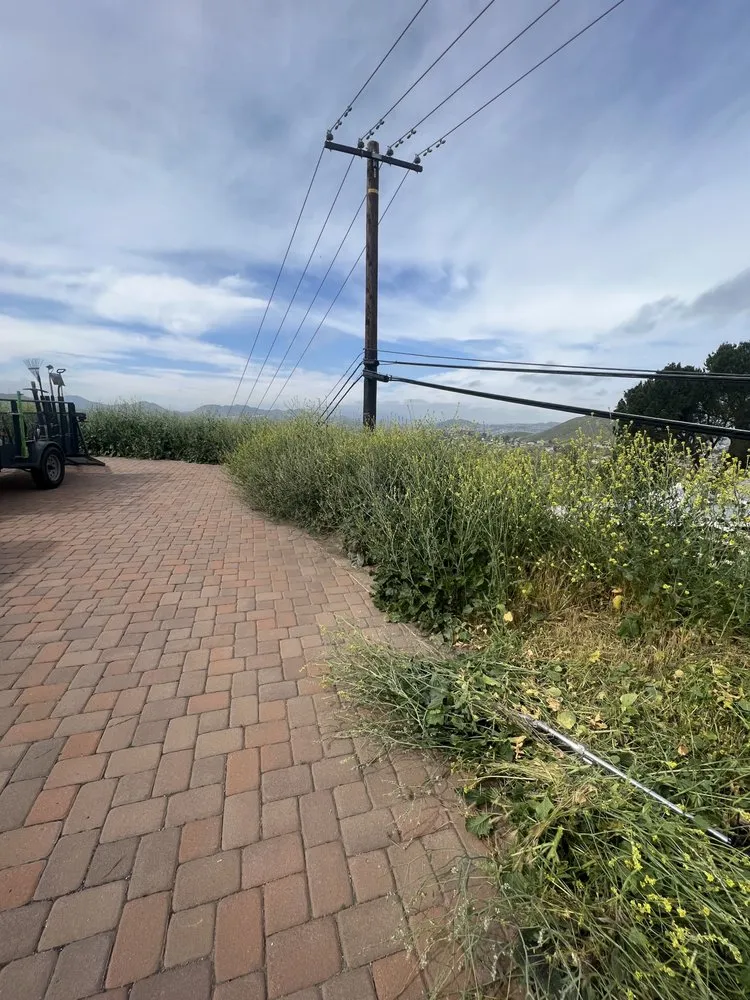 Top-rated landscape installation in San Jacinto, CA - Providence Landscaping