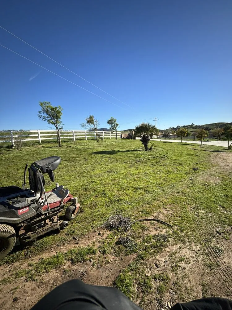 Trusted yard cleanup service in San Jacinto, CA - Providence Landscaping
