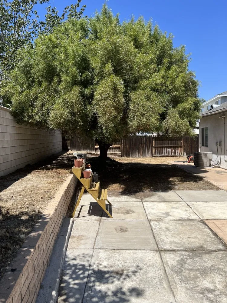 Top-rated landscaping services for residential properties in San Jacinto, CA by Providence Landscaping