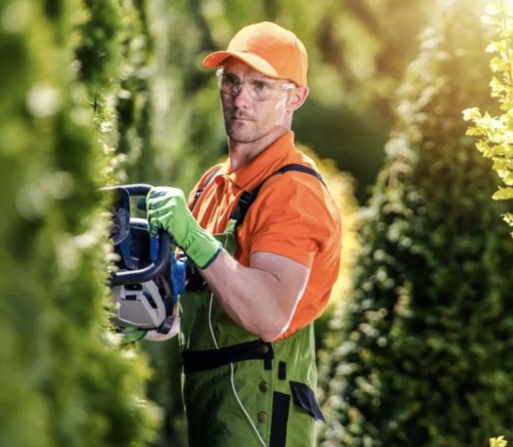 Top-rated lawn mowing service with custom design in Hackensack, NJ by Providence Lawn Service