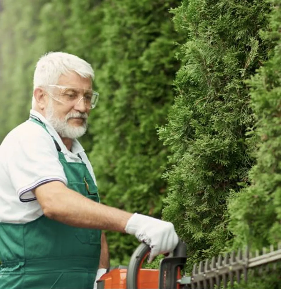 Expert residential landscaping in Hackensack, NJ by Providence Lawn Service