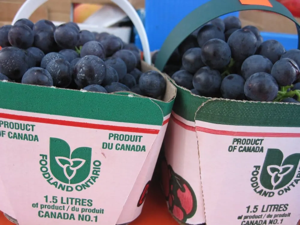 Local landscaping services for homes across Carmel, IN - Providence Outdoor