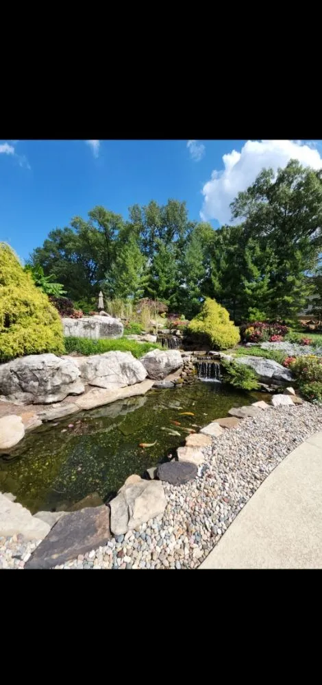 Reliable yard cleanup service in Ofallon, MO by Providence Pond Service