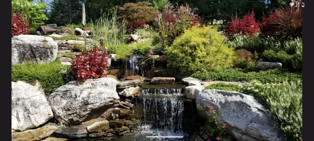 Expert landscaping services in Ofallon, MO by Providence Pond Service