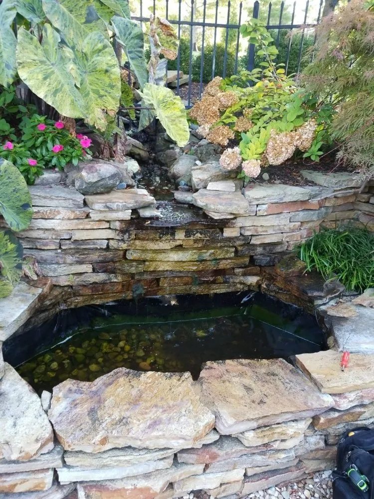 Affordable landscape design in Ofallon, MO - Providence Pond Service