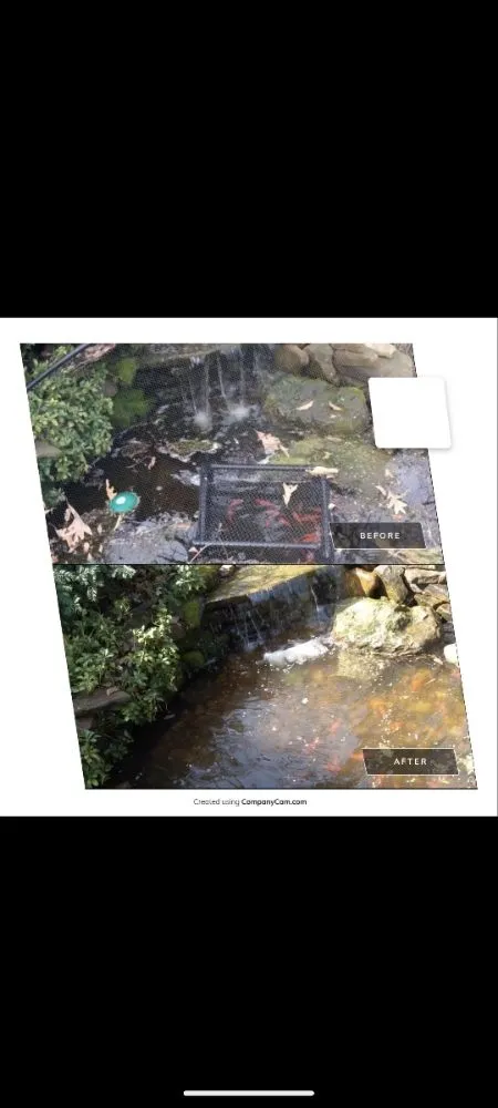 Reliable landscaping services experts serving Ofallon, MO - Providence Pond Service