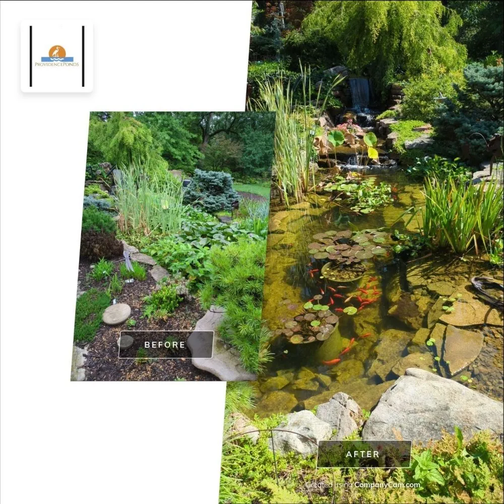 Local yard maintenance experts serving Ofallon, MO - Providence Pond Service