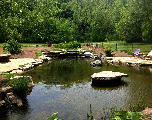 Professional lawn care service for year-round maintenance in Ofallon, MO by Providence Pond Service