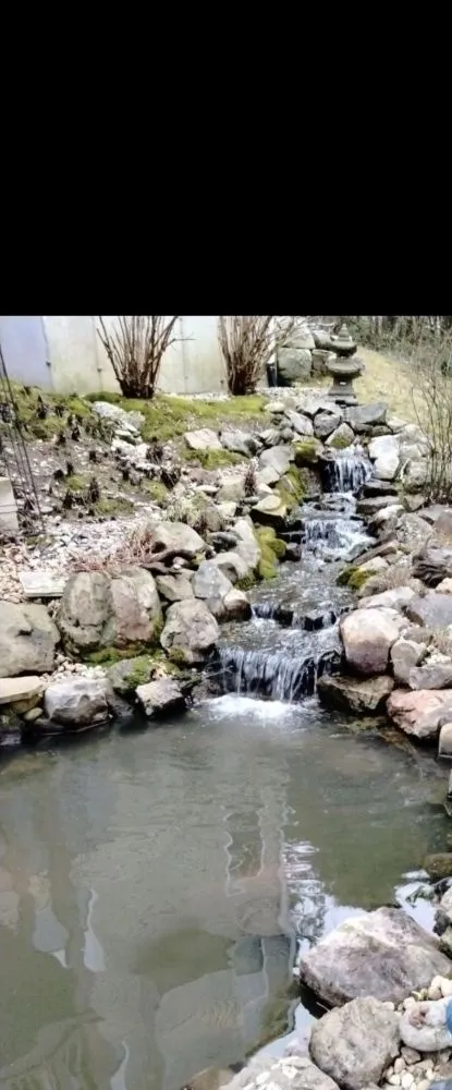 Professional outdoor landscaping in Ofallon, MO by Providence Pond Service