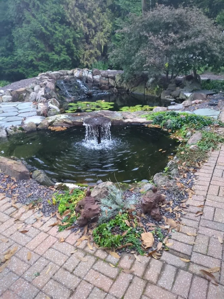 Top-rated lawn mowing service for homes in Ofallon, MO by Providence Pond Service