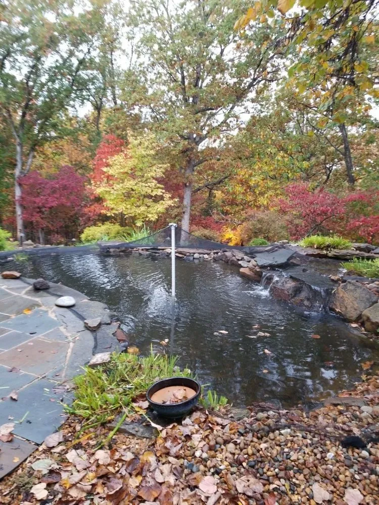 Reliable landscape installation for outdoor upgrades in Ofallon, MO by Providence Pond Service