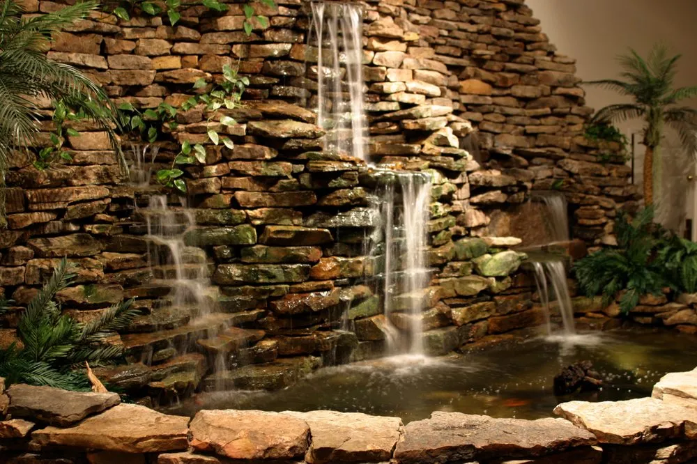 Trusted yard cleanup service for homes in Ofallon, MO by Providence Pond Service