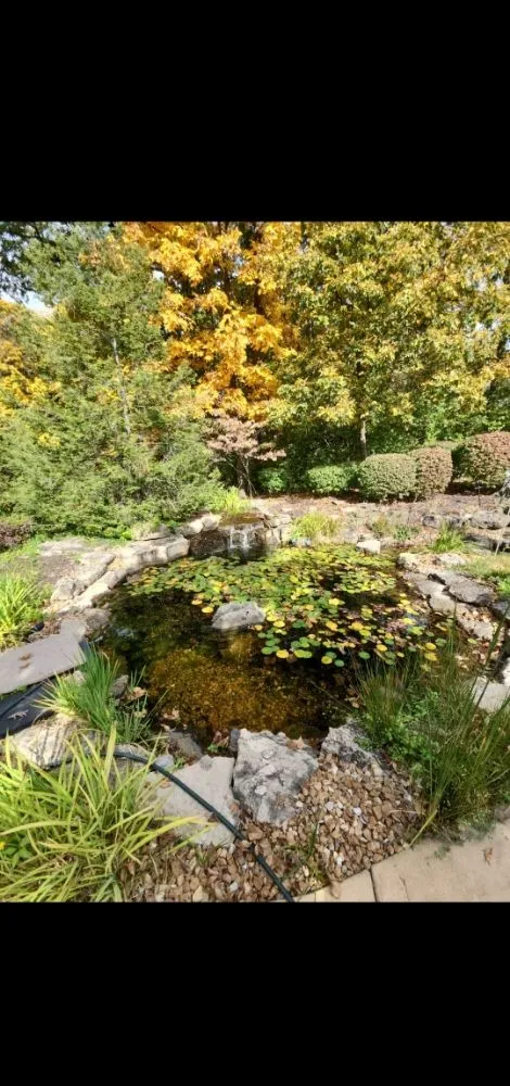 Reliable garden landscaping near you in Ofallon, MO by Providence Pond Service