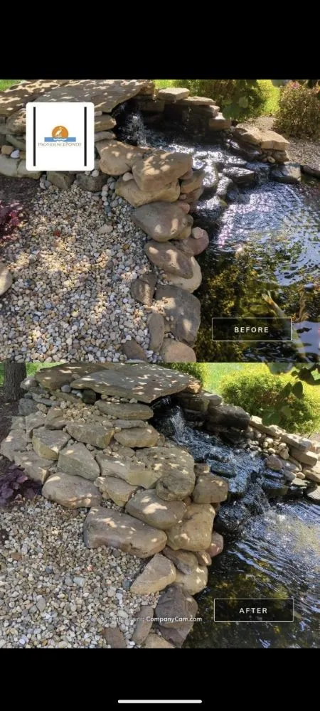 Reliable yard cleanup service in Ofallon, MO - Providence Pond Service