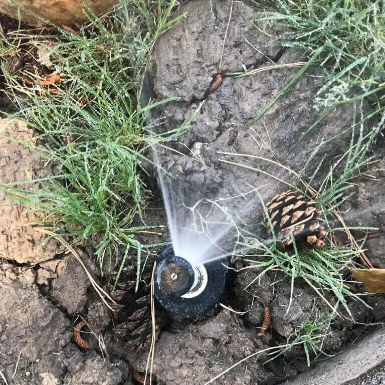 Expert residential landscaping in Westminster, CO - Providence Property Maintenance