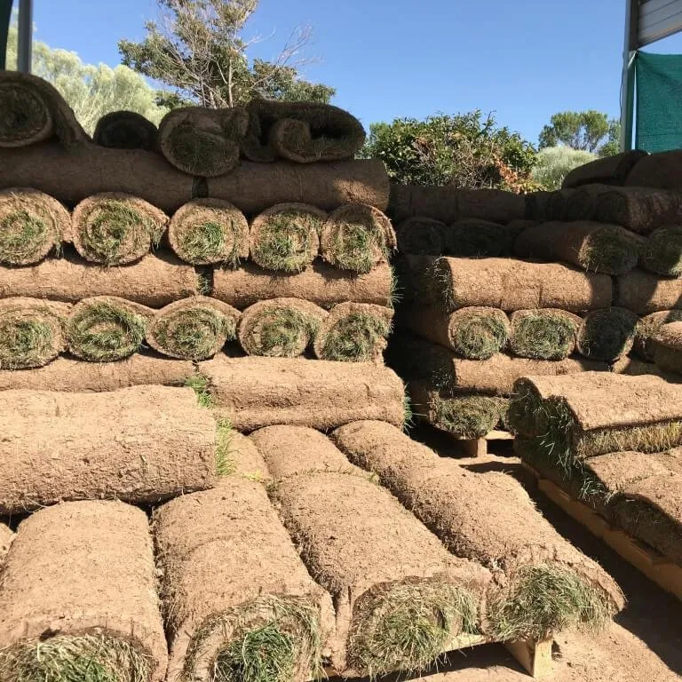 Top-rated lawn mowing service in Westminster, CO by Providence Property Maintenance