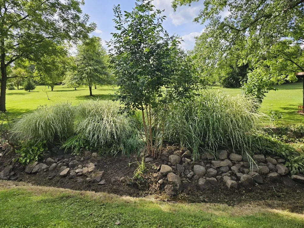 Local landscape design for outdoor upgrades across Newbury Township, OH - Provision & Sons