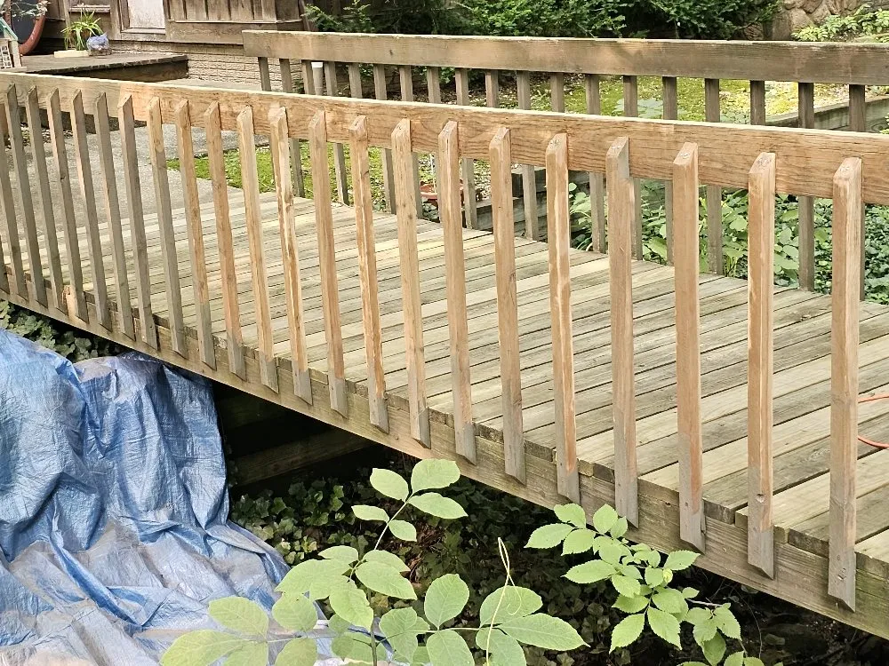 Top-rated landscaping services for beautiful yards across Newbury Township, OH - Provision & Sons