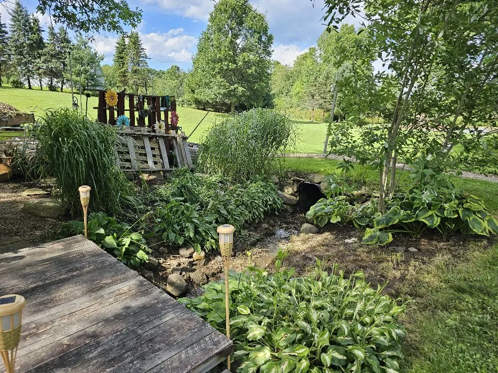 Professional lawn care service in Newbury Township, OH - Provision & Sons