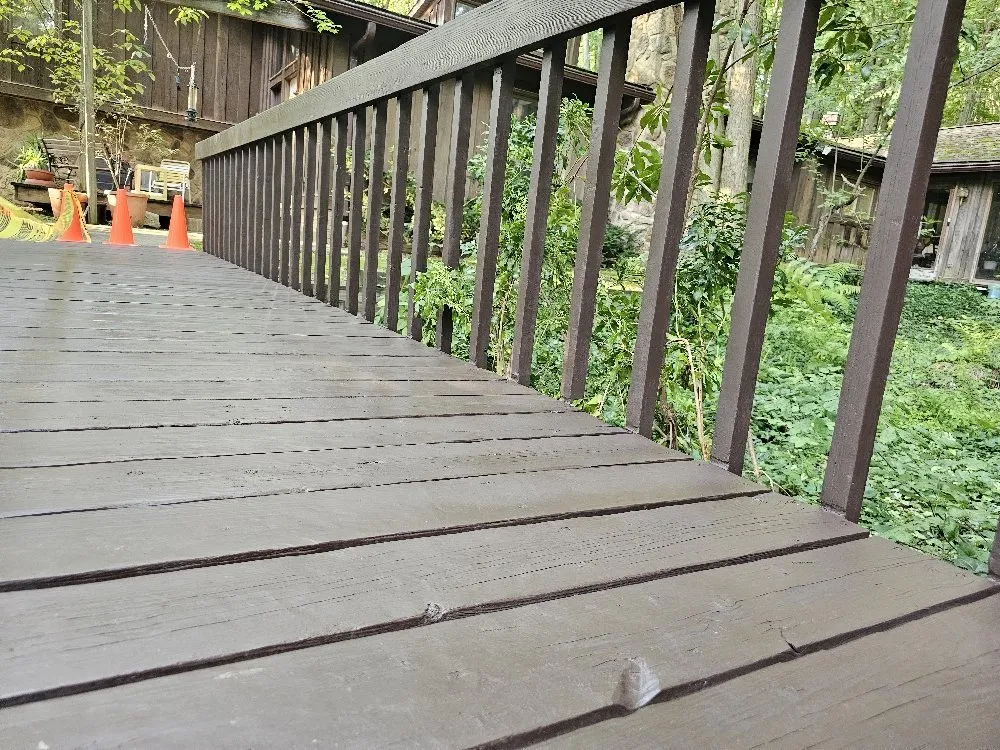 Professional yard cleanup service in Newbury Township, OH by Provision & Sons