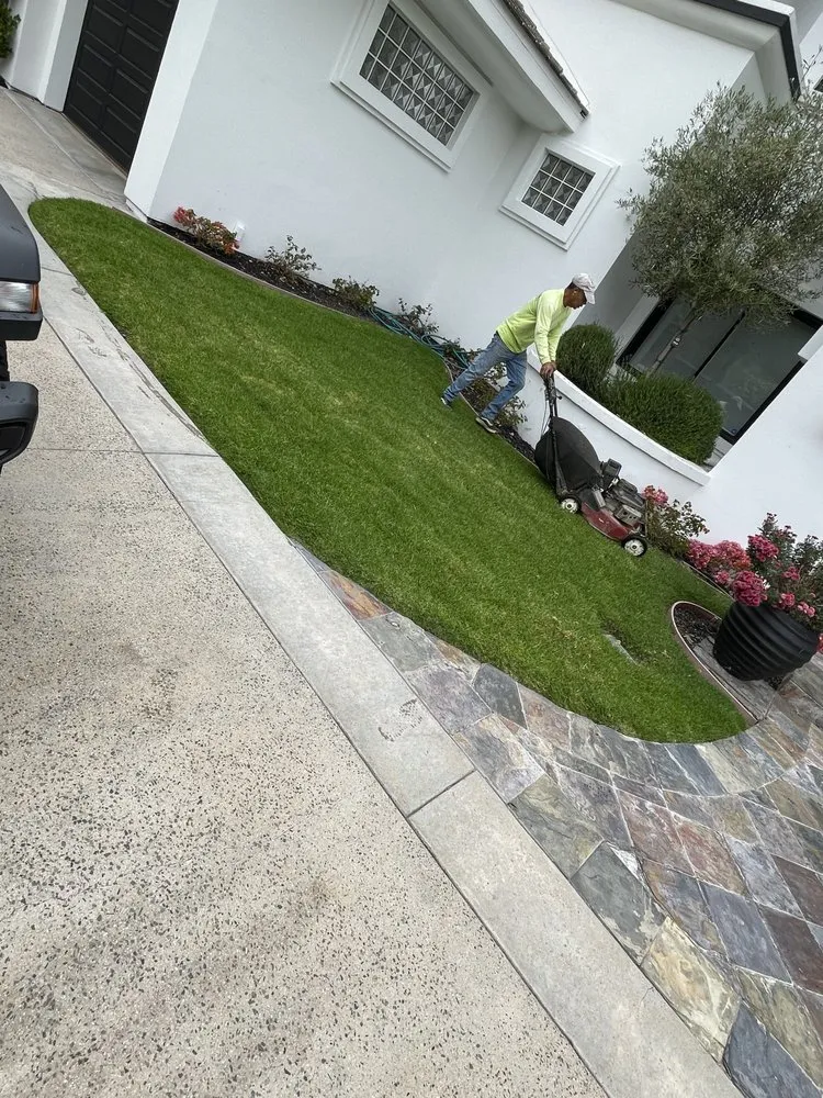 Local landscaping services for residential properties in Irvine, CA by Provision Landscape