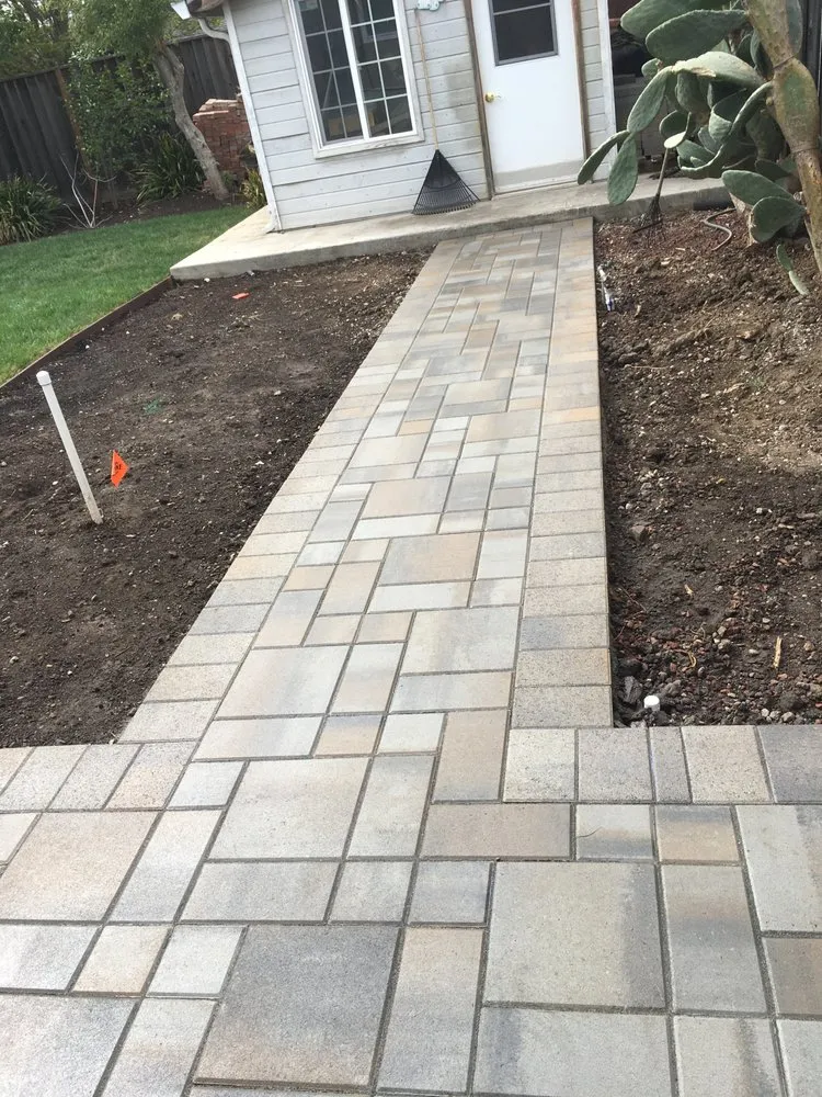 Top-rated yard cleanup service in Irvine, CA by Provision Landscape