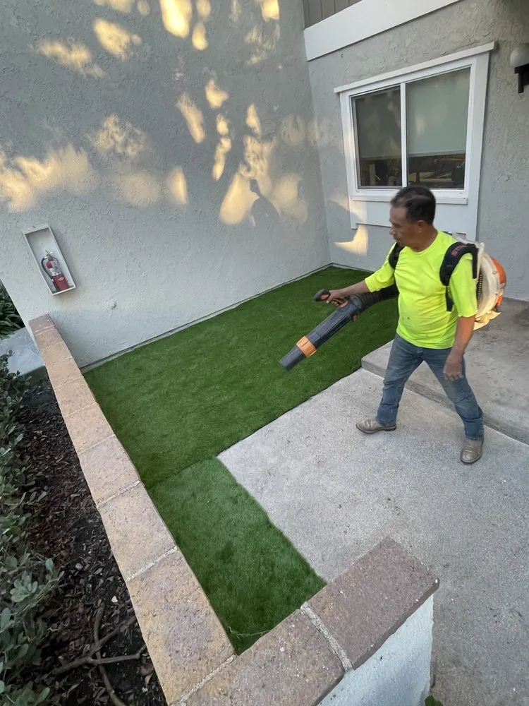 Professional landscape installation in Irvine, CA by Provision Landscape