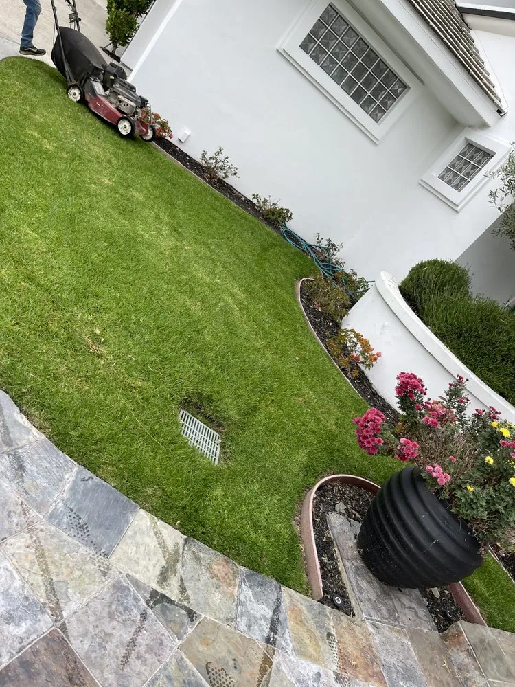 Professional garden landscaping near you across Irvine, CA - Provision Landscape