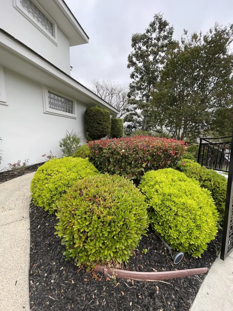 Trusted residential landscaping in Irvine, CA - Provision Landscape