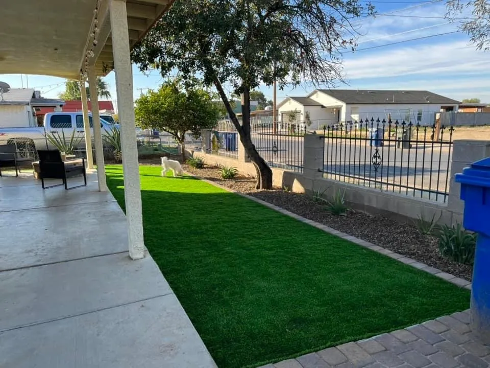 Top-rated landscape installation in Phoenix, AZ - Provision Landscapes