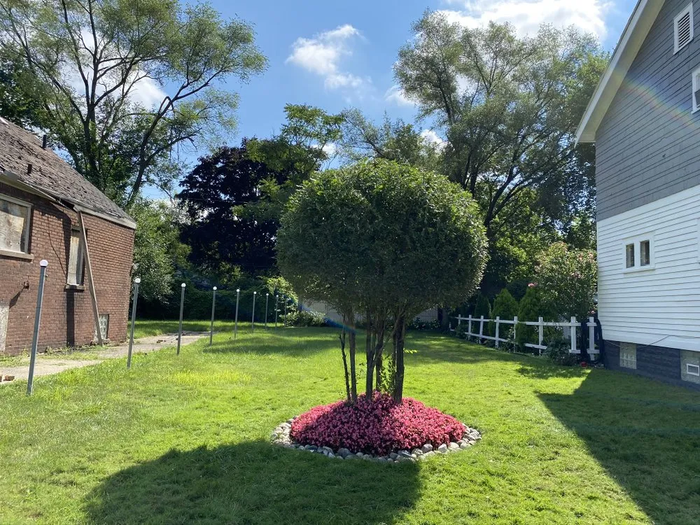 Reliable landscaping services in Detroit, MI - ProVision Lawn Services
