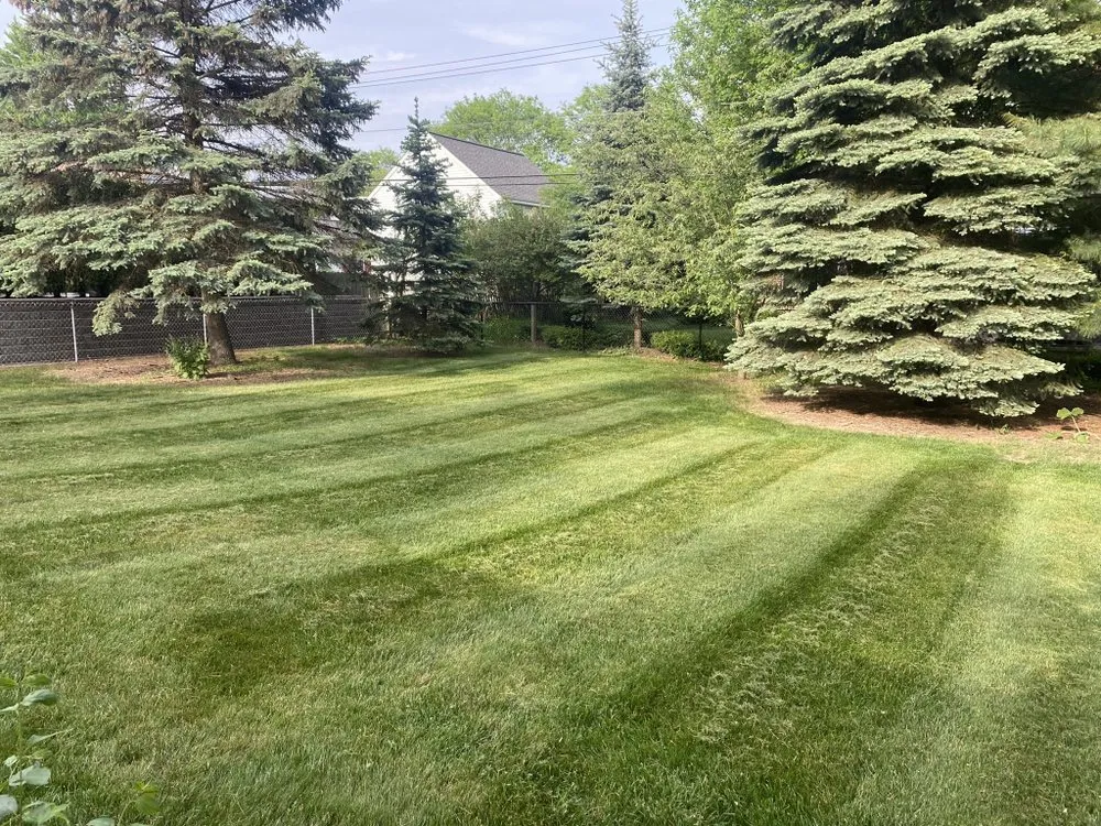 Expert residential landscaping for outdoor upgrades across Detroit, MI - ProVision Lawn Services
