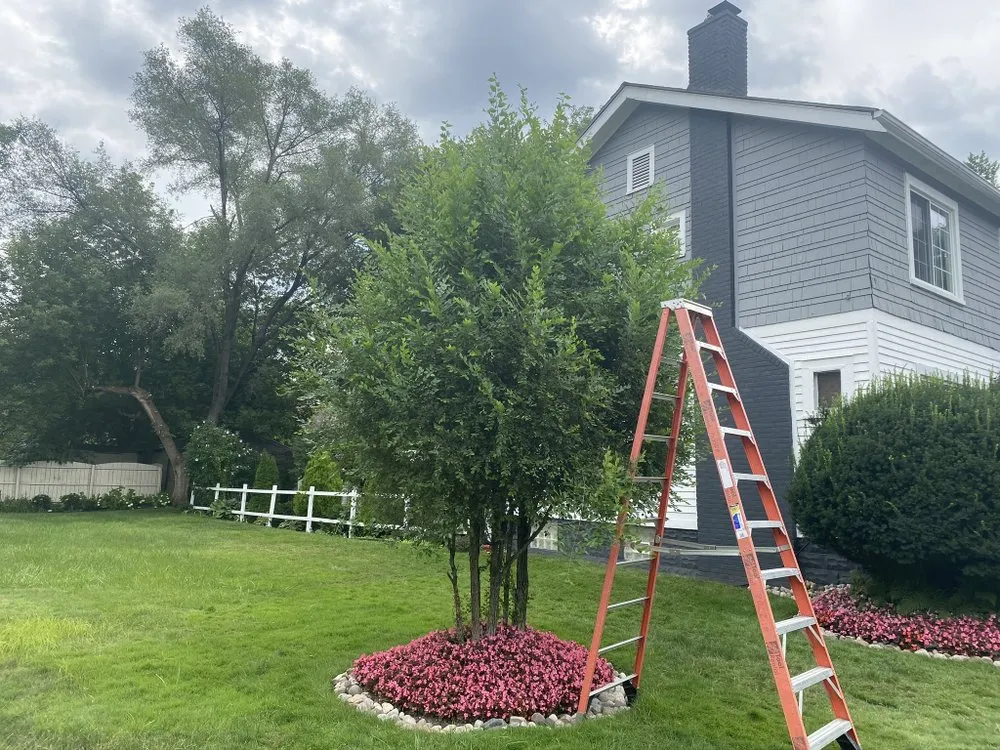 Professional yard cleanup service in Detroit, MI - ProVision Lawn Services