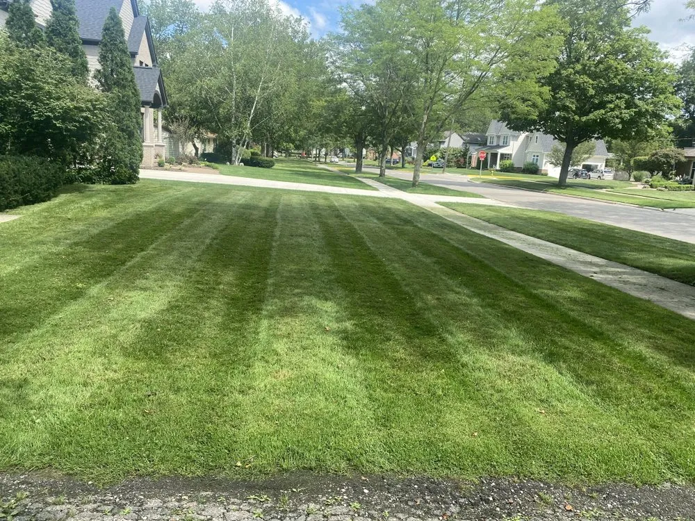 Professional yard cleanup service in Detroit, MI by ProVision Lawn Services