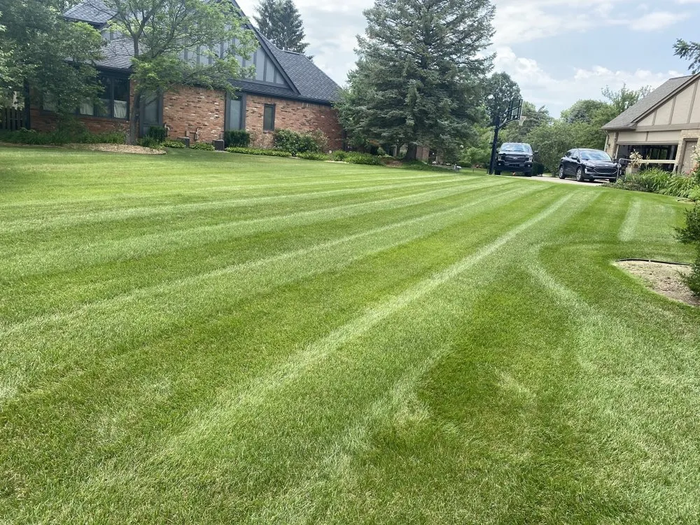 Top-rated landscaping services near you in Detroit, MI by ProVision Lawn Services