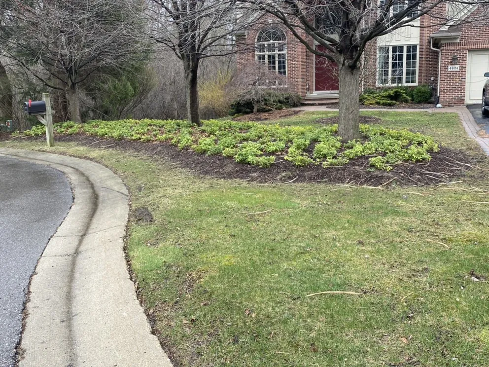 Affordable yard maintenance for residential properties across Detroit, MI - ProVision Lawn Services