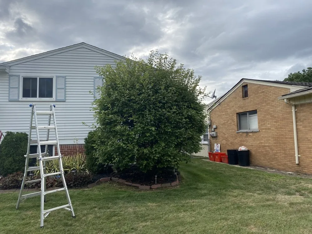 Trusted yard cleanup service experts serving Detroit, MI - ProVision Lawn Services