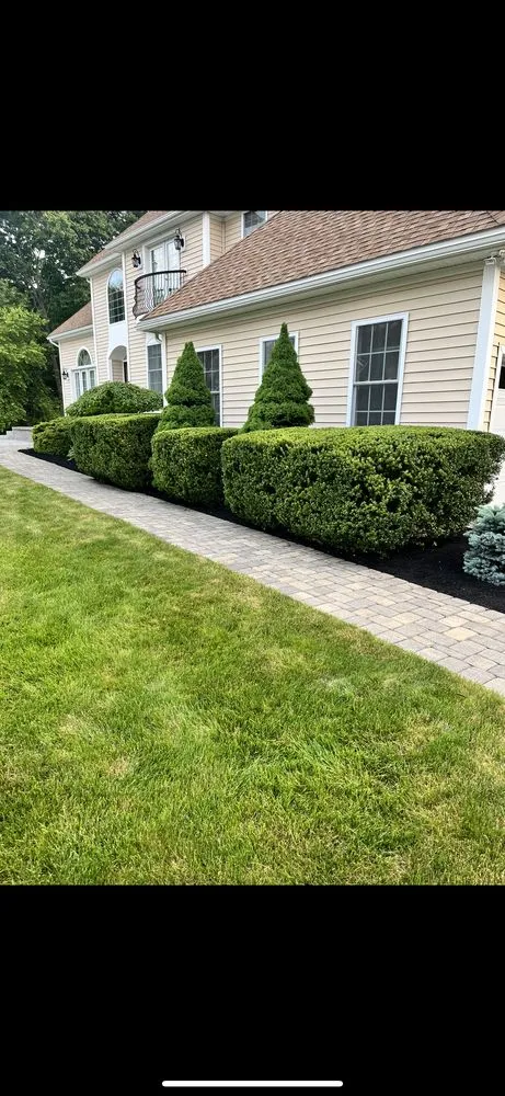 Affordable lawn care service experts serving Kittery, ME - Provisions Property Services