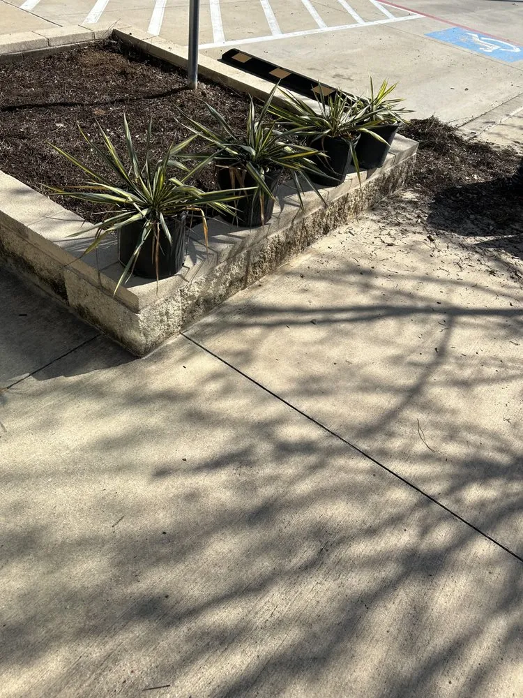 Top-rated landscaping services for homes across Princeton, TX - Provista Texas Landscaping