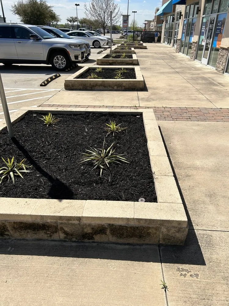 Custom residential landscaping in Princeton, TX by Provista Texas Landscaping