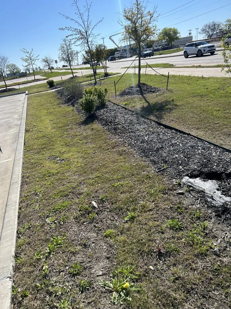 Local landscape design for beautiful yards across Princeton, TX - Provista Texas Landscaping