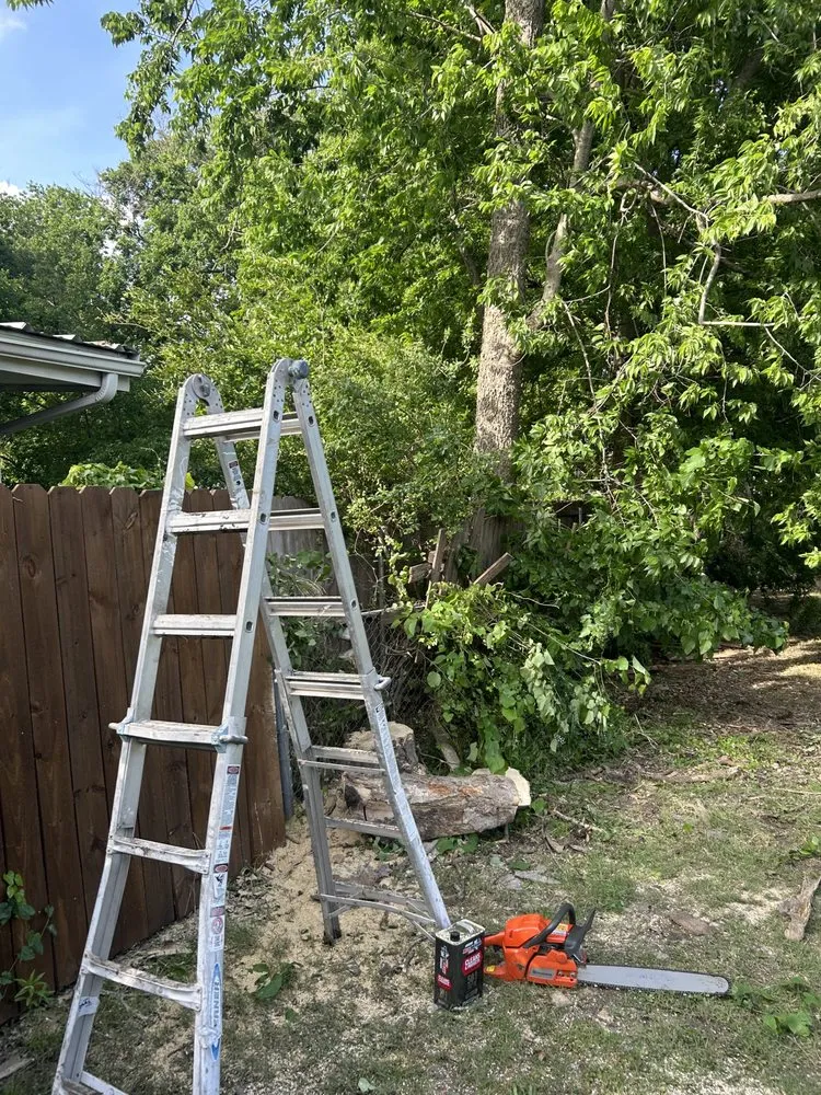 Trusted yard maintenance in Princeton, TX - Provista Texas Landscaping