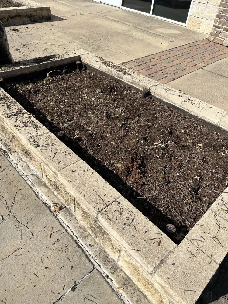 Custom yard cleanup service in Princeton, TX by Provista Texas Landscaping