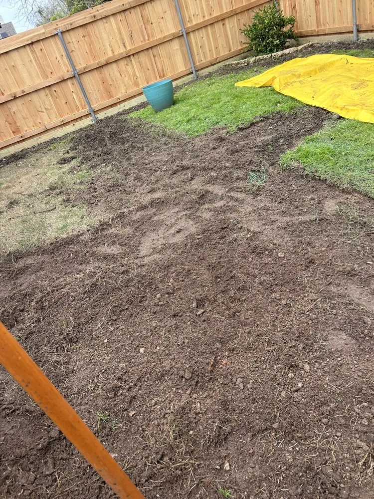 Trusted lawn care service in Princeton, TX - Provista Texas Landscaping