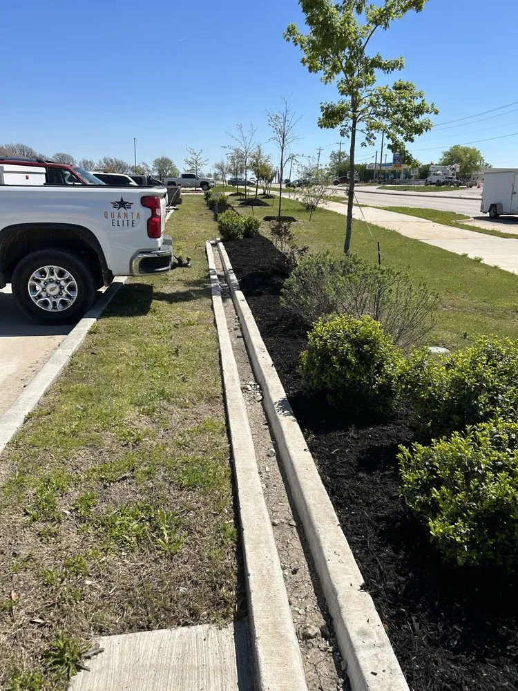 Trusted residential landscaping for beautiful yards across Princeton, TX - Provista Texas Landscaping