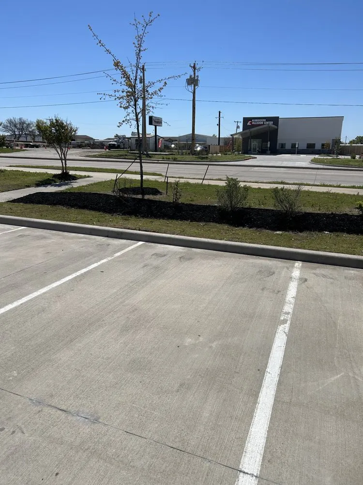 Affordable landscape design for beautiful yards in Princeton, TX by Provista Texas Landscaping