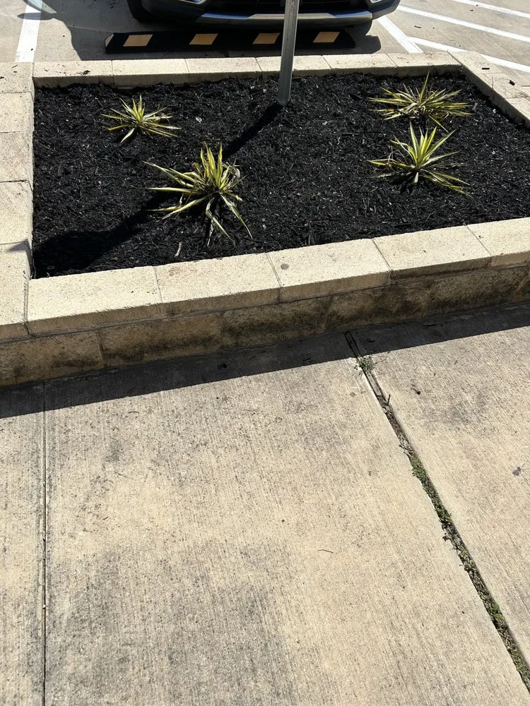 Top-rated yard maintenance experts serving Princeton, TX - Provista Texas Landscaping