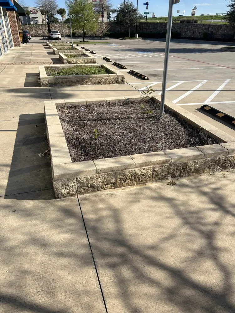 Trusted landscape installation in Princeton, TX by Provista Texas Landscaping