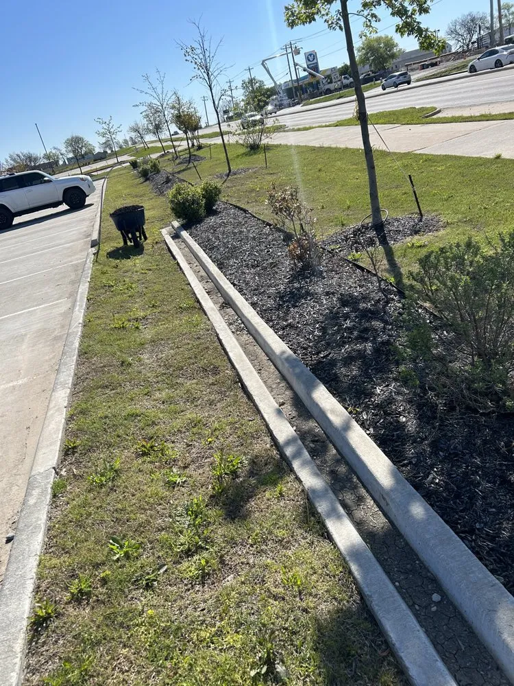 Professional yard cleanup service in Princeton, TX by Provista Texas Landscaping